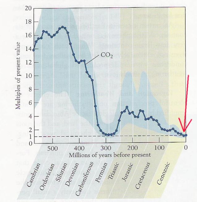 Atmospheric CO2 is currently at near its lowest level ever on geological timescales.