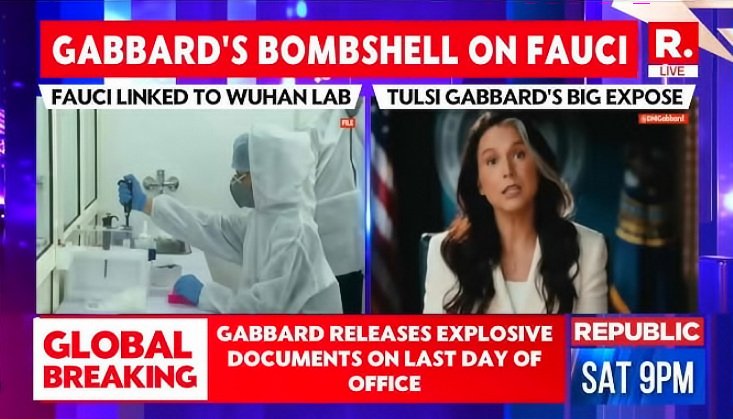 Gabbard's Fauci Fizzer